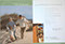 Mont Tremblant L'Equinox Intrawest Brochure, 101 Graphics, Graphic Design Mammoth Lakes, Palm Springs, Kamloops